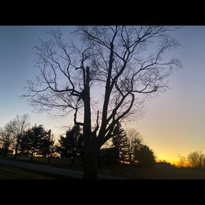 Meet your Posher, Alanah